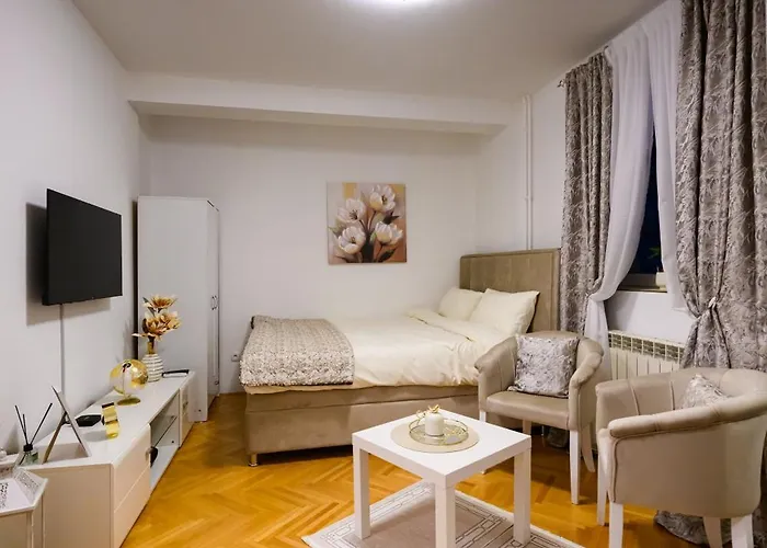 Apartment Ogi Lux Kraljevo